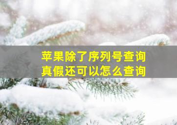 苹果除了序列号查询真假还可以怎么查询