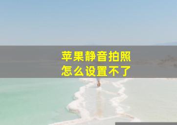 苹果静音拍照怎么设置不了