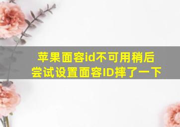 苹果面容id不可用稍后尝试设置面容ID摔了一下