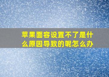 苹果面容设置不了是什么原因导致的呢怎么办