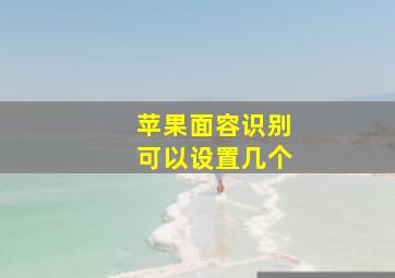 苹果面容识别可以设置几个