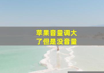 苹果音量调大了但是没音量