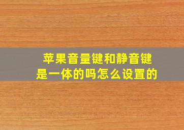 苹果音量键和静音键是一体的吗怎么设置的