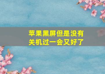 苹果黑屏但是没有关机过一会又好了