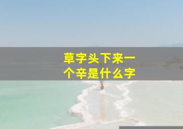 草字头下来一个辛是什么字