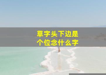 草字头下边是个位念什么字