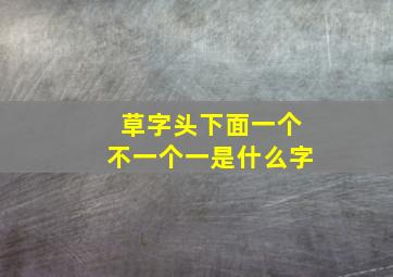 草字头下面一个不一个一是什么字