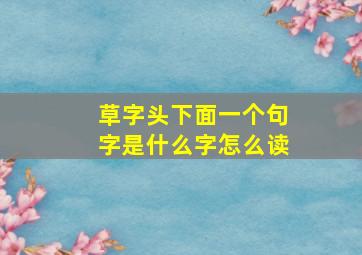 草字头下面一个句字是什么字怎么读