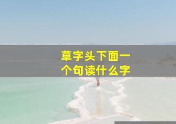 草字头下面一个句读什么字