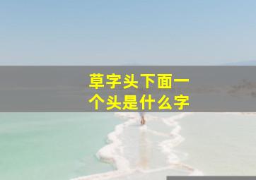 草字头下面一个头是什么字