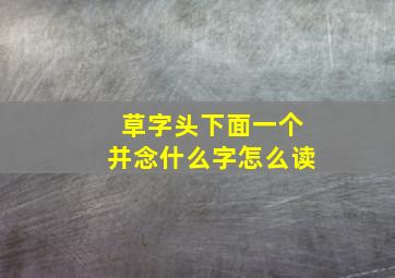 草字头下面一个并念什么字怎么读