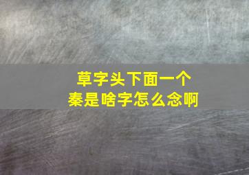 草字头下面一个秦是啥字怎么念啊