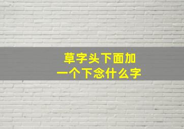 草字头下面加一个下念什么字