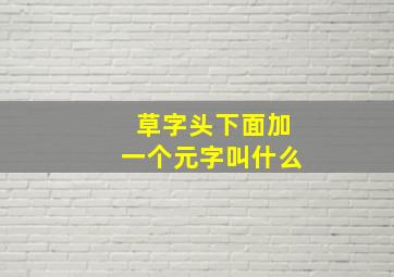 草字头下面加一个元字叫什么