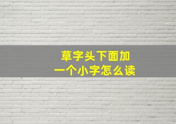 草字头下面加一个小字怎么读