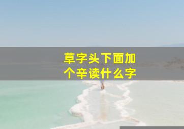 草字头下面加个辛读什么字