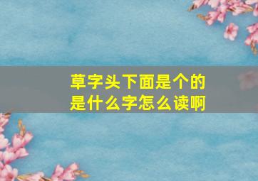 草字头下面是个的是什么字怎么读啊