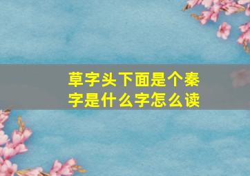 草字头下面是个秦字是什么字怎么读