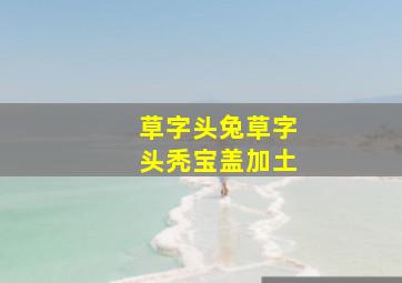 草字头兔草字头秃宝盖加土