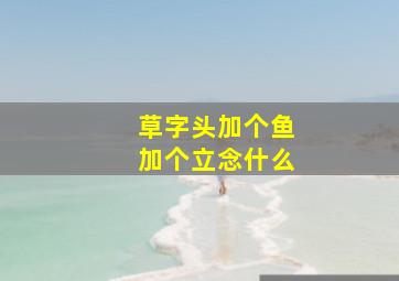 草字头加个鱼加个立念什么