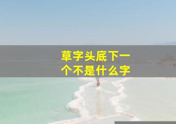 草字头底下一个不是什么字