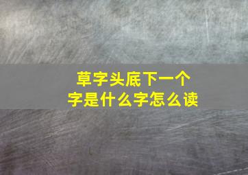 草字头底下一个字是什么字怎么读