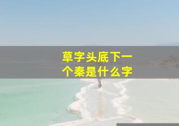 草字头底下一个秦是什么字