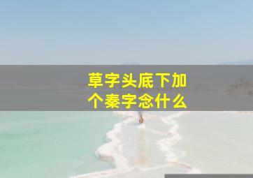 草字头底下加个秦字念什么