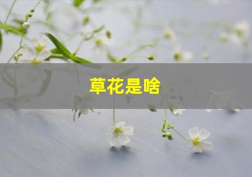 草花是啥