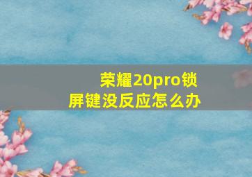 荣耀20pro锁屏键没反应怎么办