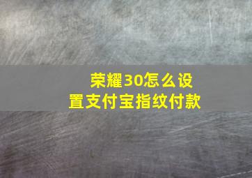 荣耀30怎么设置支付宝指纹付款