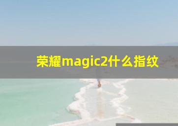 荣耀magic2什么指纹