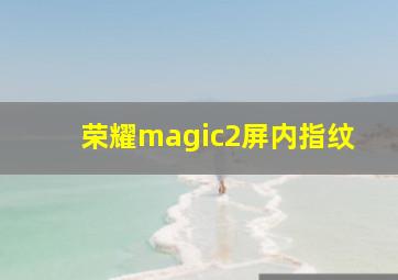 荣耀magic2屏内指纹