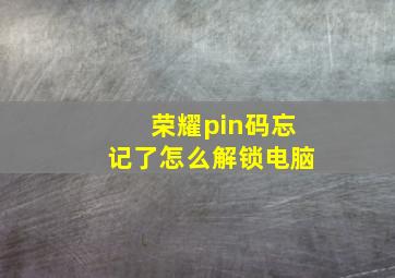 荣耀pin码忘记了怎么解锁电脑