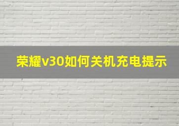 荣耀v30如何关机充电提示