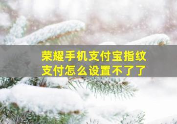 荣耀手机支付宝指纹支付怎么设置不了了