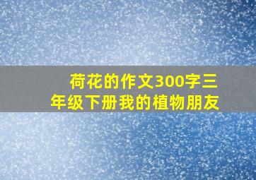 荷花的作文300字三年级下册我的植物朋友