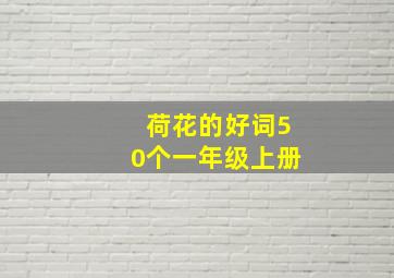 荷花的好词50个一年级上册