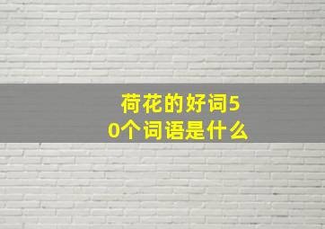 荷花的好词50个词语是什么