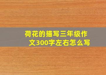 荷花的描写三年级作文300字左右怎么写