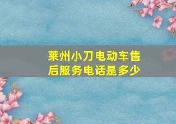 莱州小刀电动车售后服务电话是多少