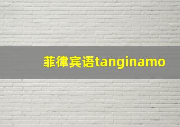 菲律宾语tanginamo