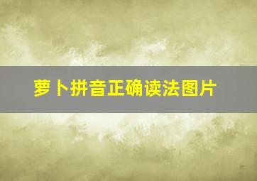 萝卜拼音正确读法图片