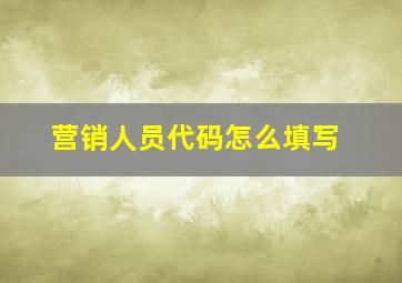 营销人员代码怎么填写