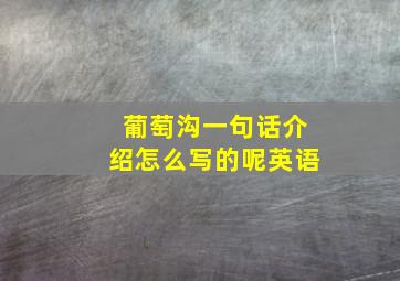 葡萄沟一句话介绍怎么写的呢英语