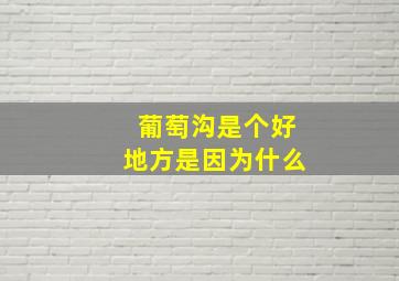 葡萄沟是个好地方是因为什么