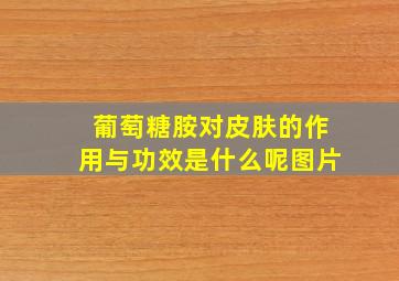 葡萄糖胺对皮肤的作用与功效是什么呢图片