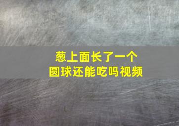 葱上面长了一个圆球还能吃吗视频