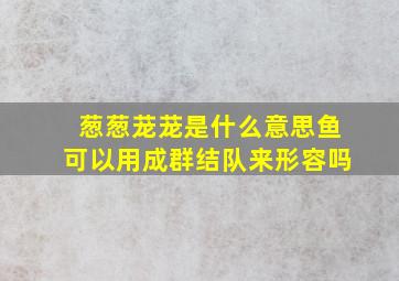 葱葱茏茏是什么意思鱼可以用成群结队来形容吗