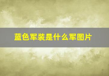 蓝色军装是什么军图片